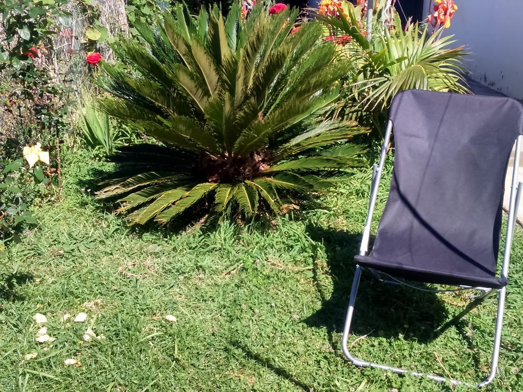 Canto Da Manu Estreito Da Calheta Luaran gambar
